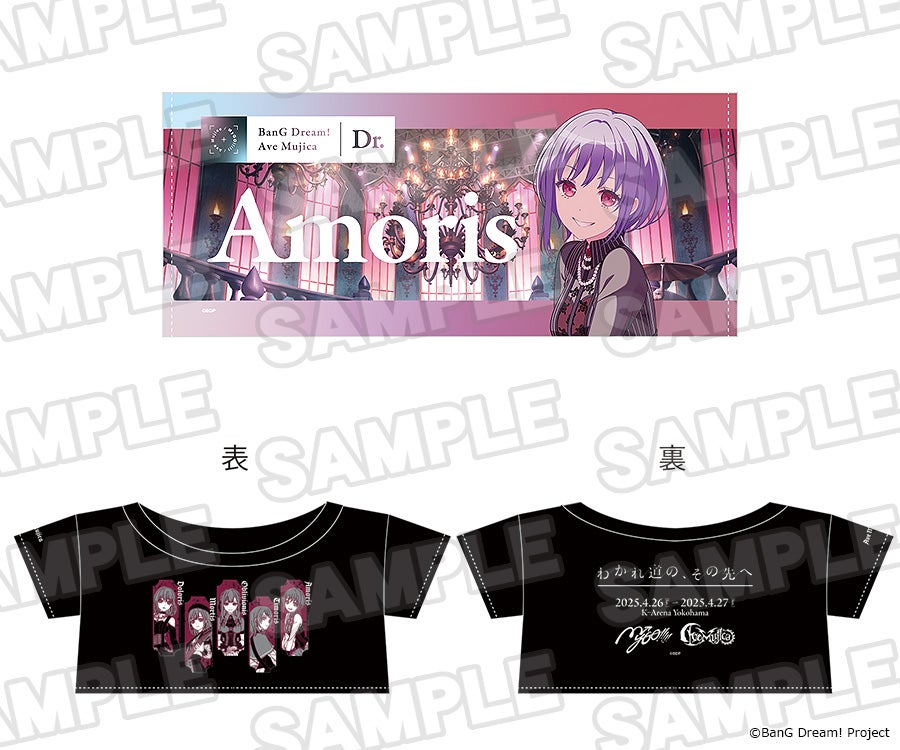 ぬいぐるみ オプションパーツ ライブセット 合同ライブ「わかれ道の