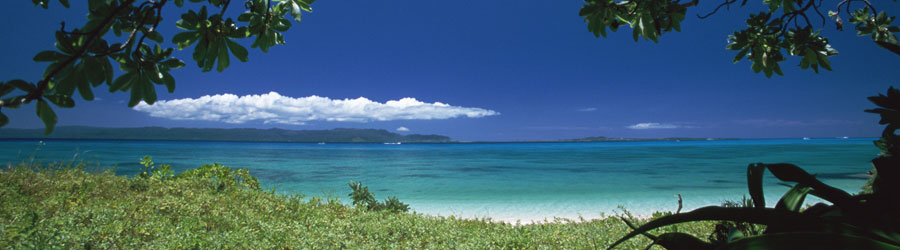 メゾン マイッサ マジョレル ガーデン カクタス オードゥパルファム