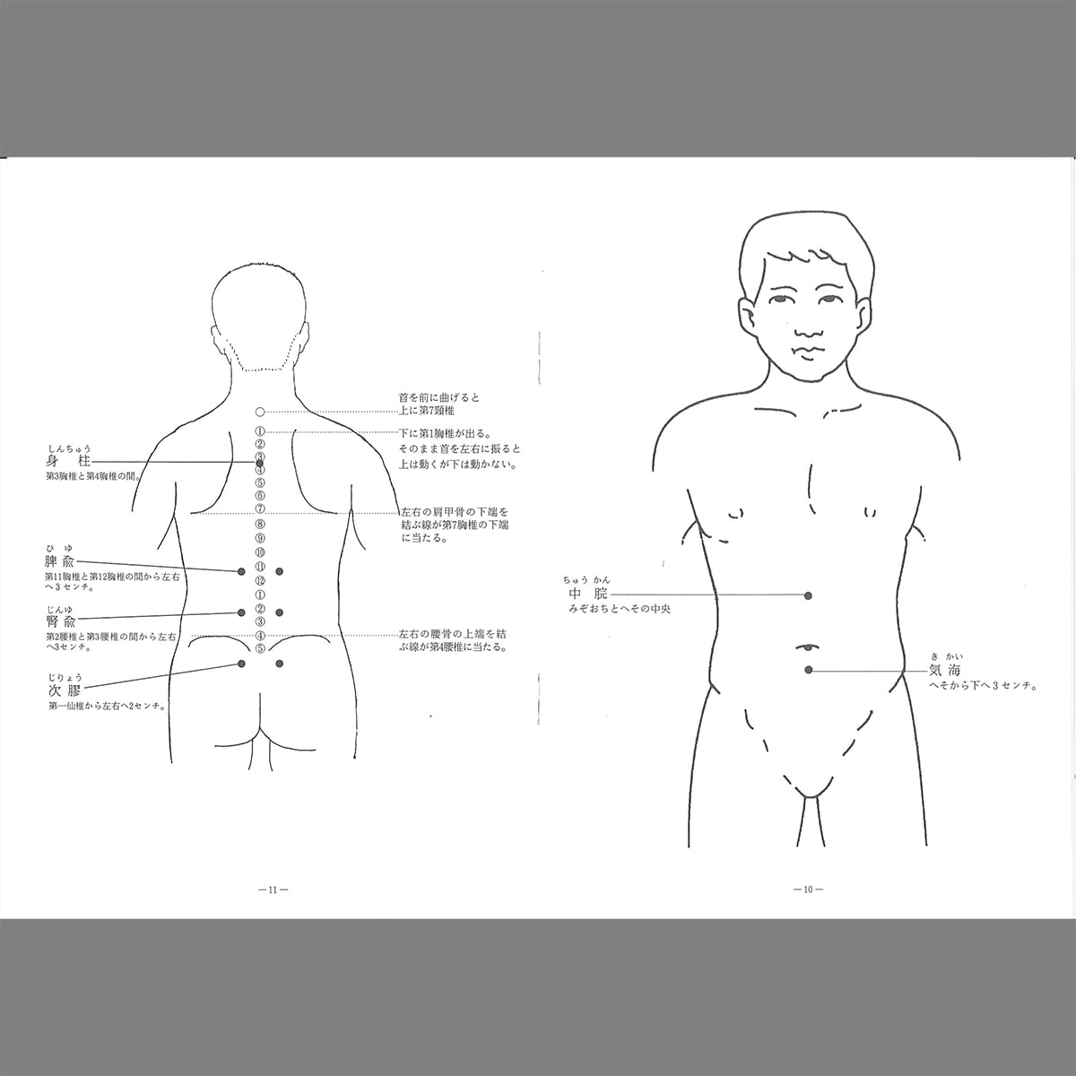 GAIAネット濱田家家伝 枇杷葉温圧セット: お手当てオーガニック＆無