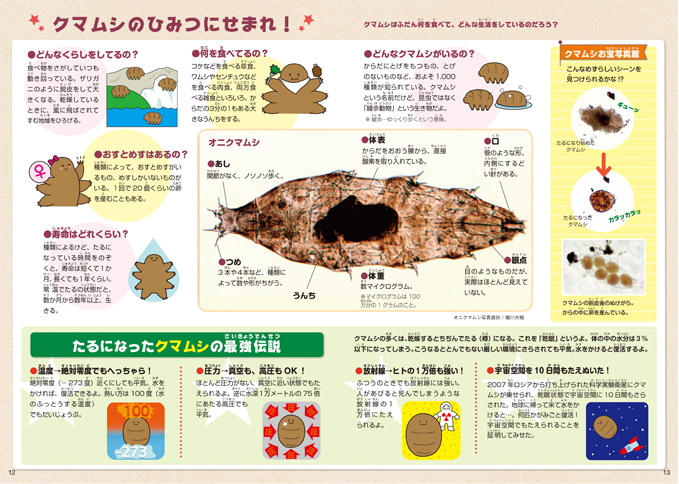 身の回りの小さな生物を調査せよ！ミクロモンスター LED 内蔵ズーム