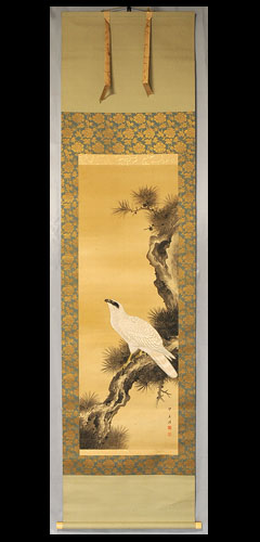 老枩白鷹図」 尺五寸 望月 玉渓(もちづき ぎょくけい)(京都) | 掛け軸