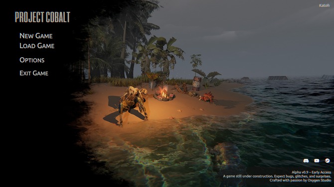 怪しい書面にサインしたら無人島に流されました系サバイバル『Project