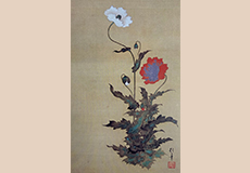 酒井抱一の買取価格は高額です│鑑定無料で相場もわかる。我楽洞