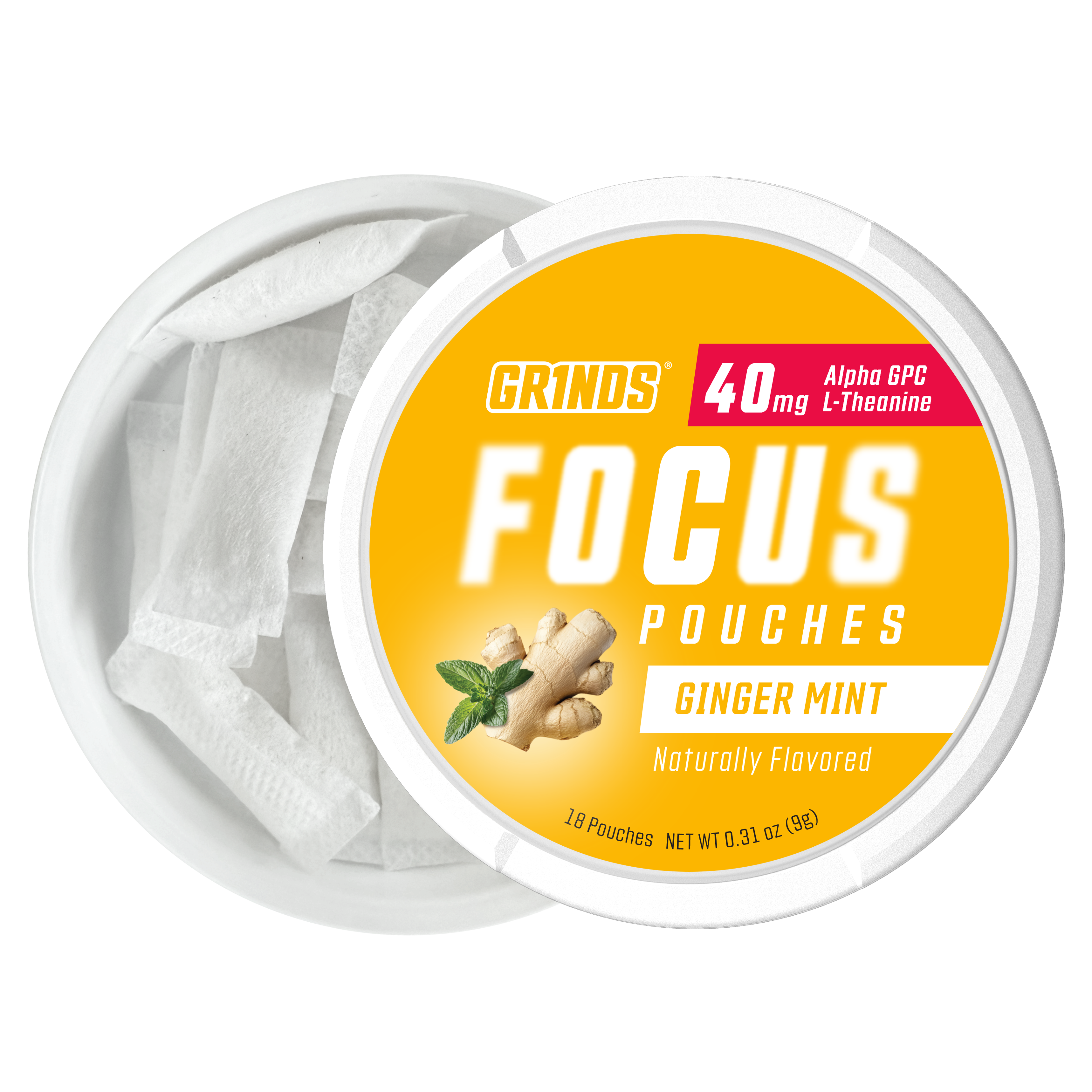Grinds Ginger Mint | Nootropic | #1 Alternative Pouch Brand