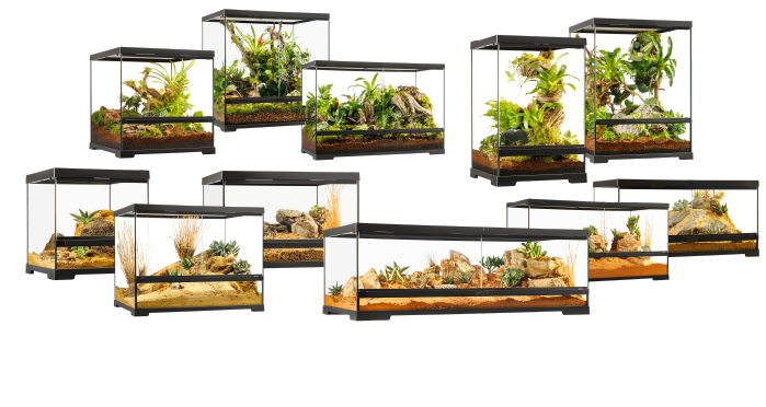 グラステラリウムPRO 爬虫類情報 | 爬虫類用品・エキゾテラのジェックス