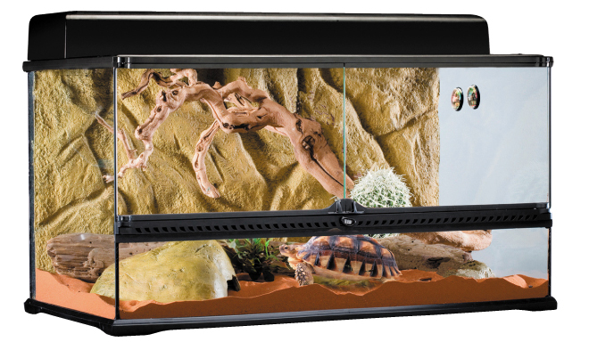 飼育ケージ・用品について 爬虫類情報 | 爬虫類用品・エキゾテラの