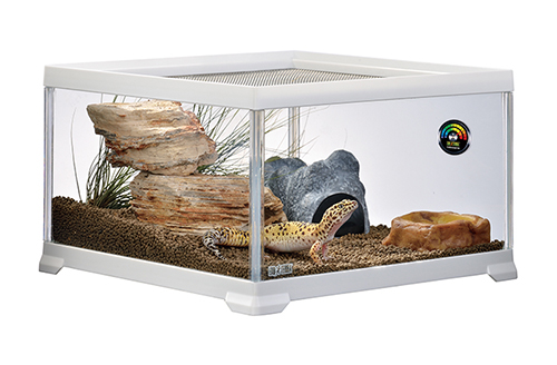 ヒョウモントカゲモドキ （レオパ）の飼育におすすめのケージは