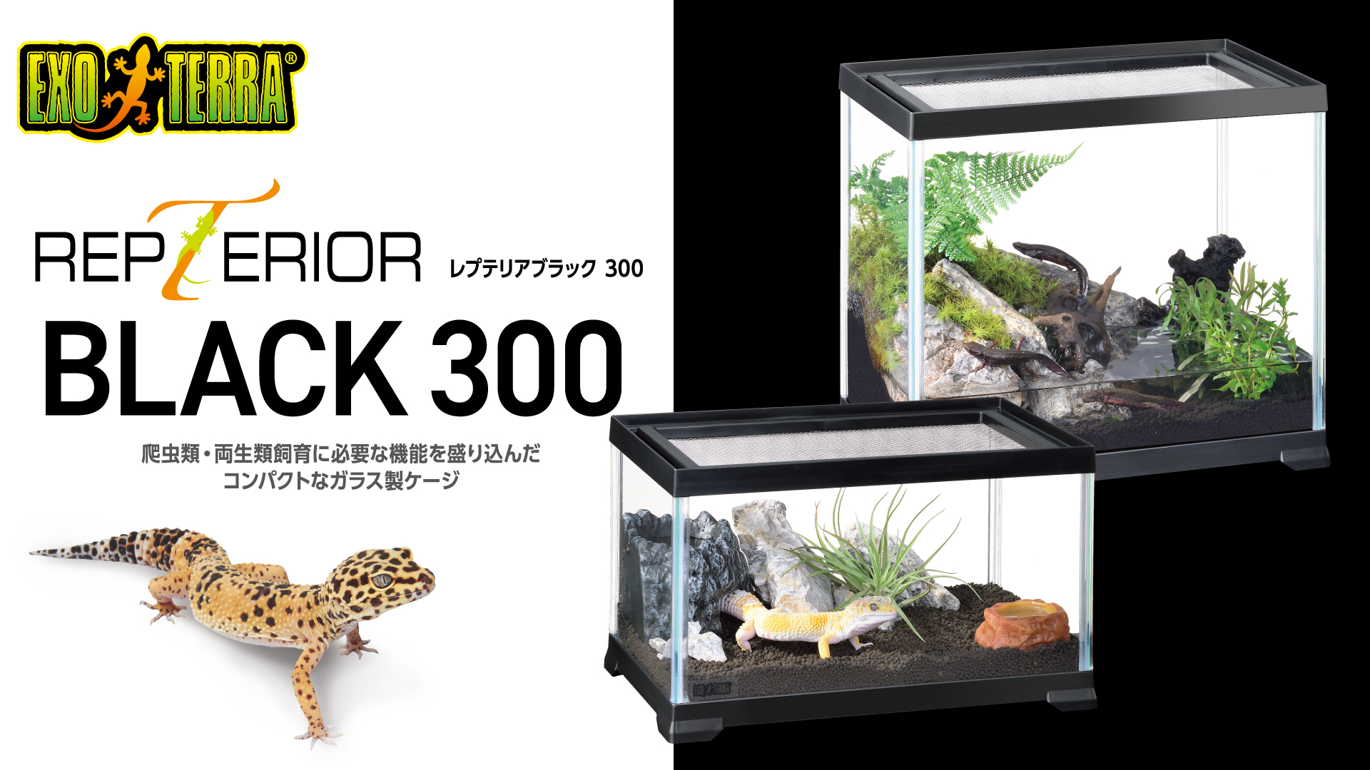 商品ストーリー GEX ExoTerra Time 爬虫類情報 | 爬虫類用品