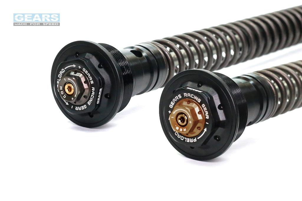 APRILIA RS250 SP (20~) Front Fork Cartridge Inverted-Forks ( FFC