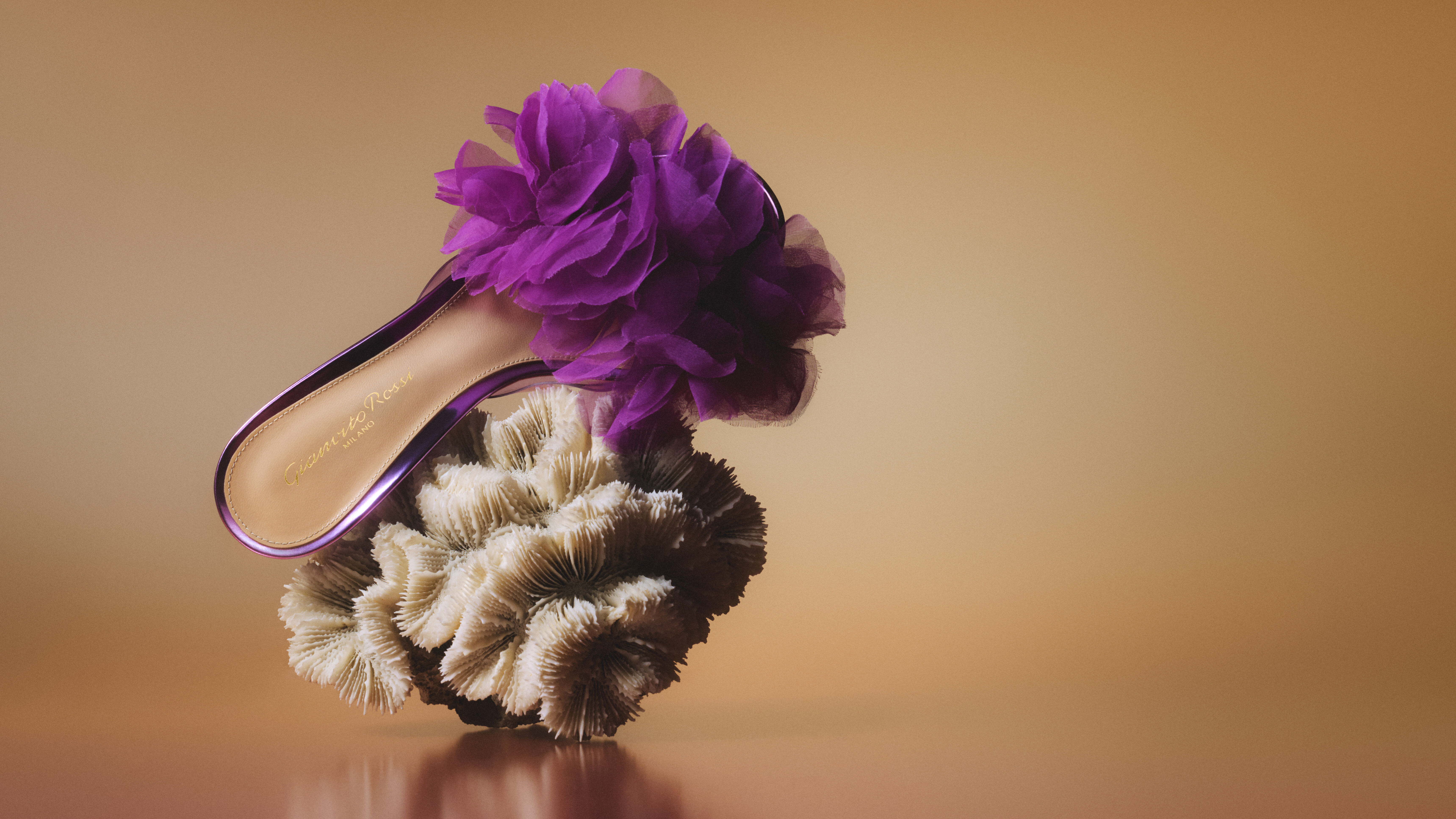 Gianvito Rossi: Italian Luxury Shoes and Accessories