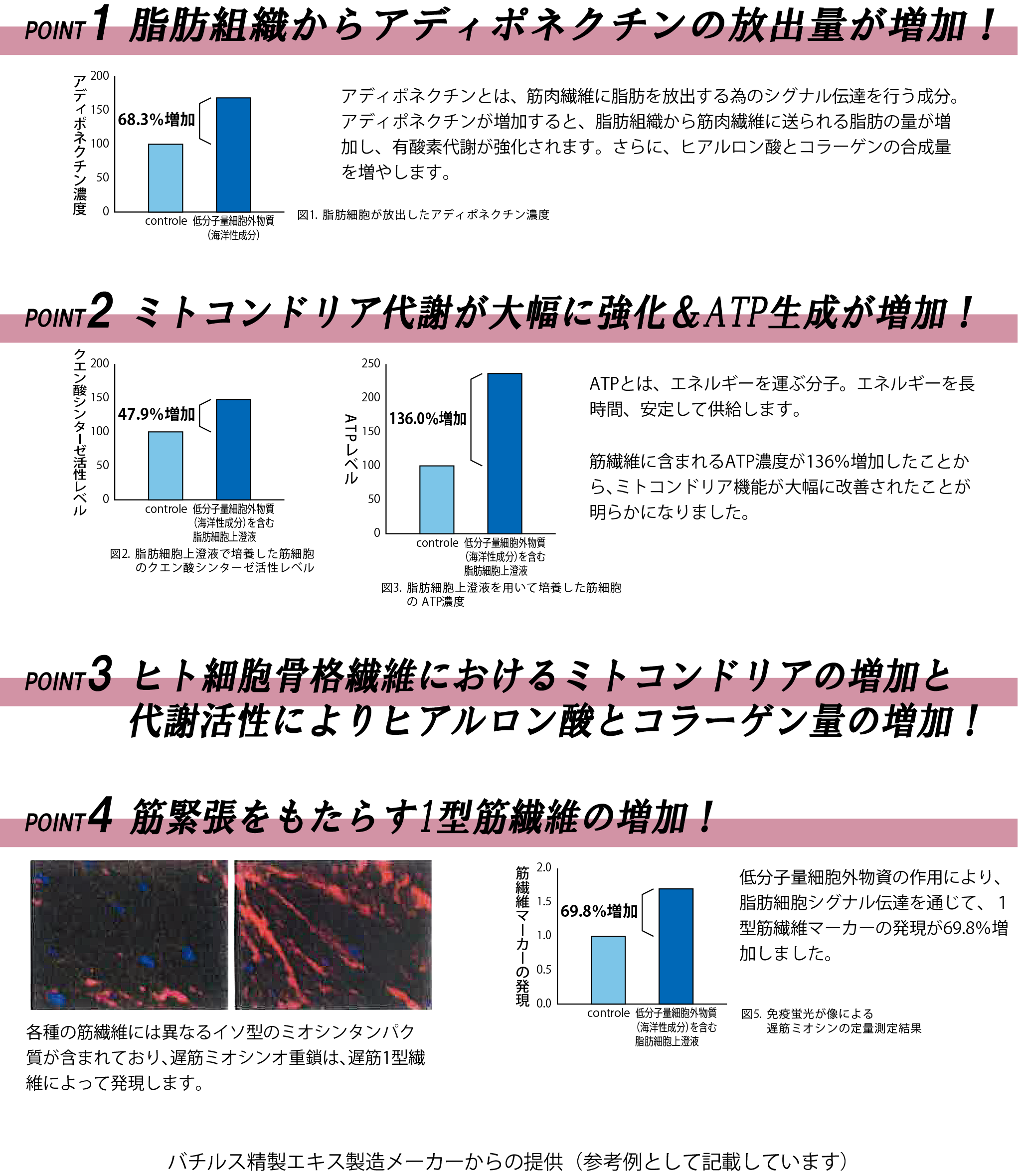 商品紹介 | 株式会社ギルドラ