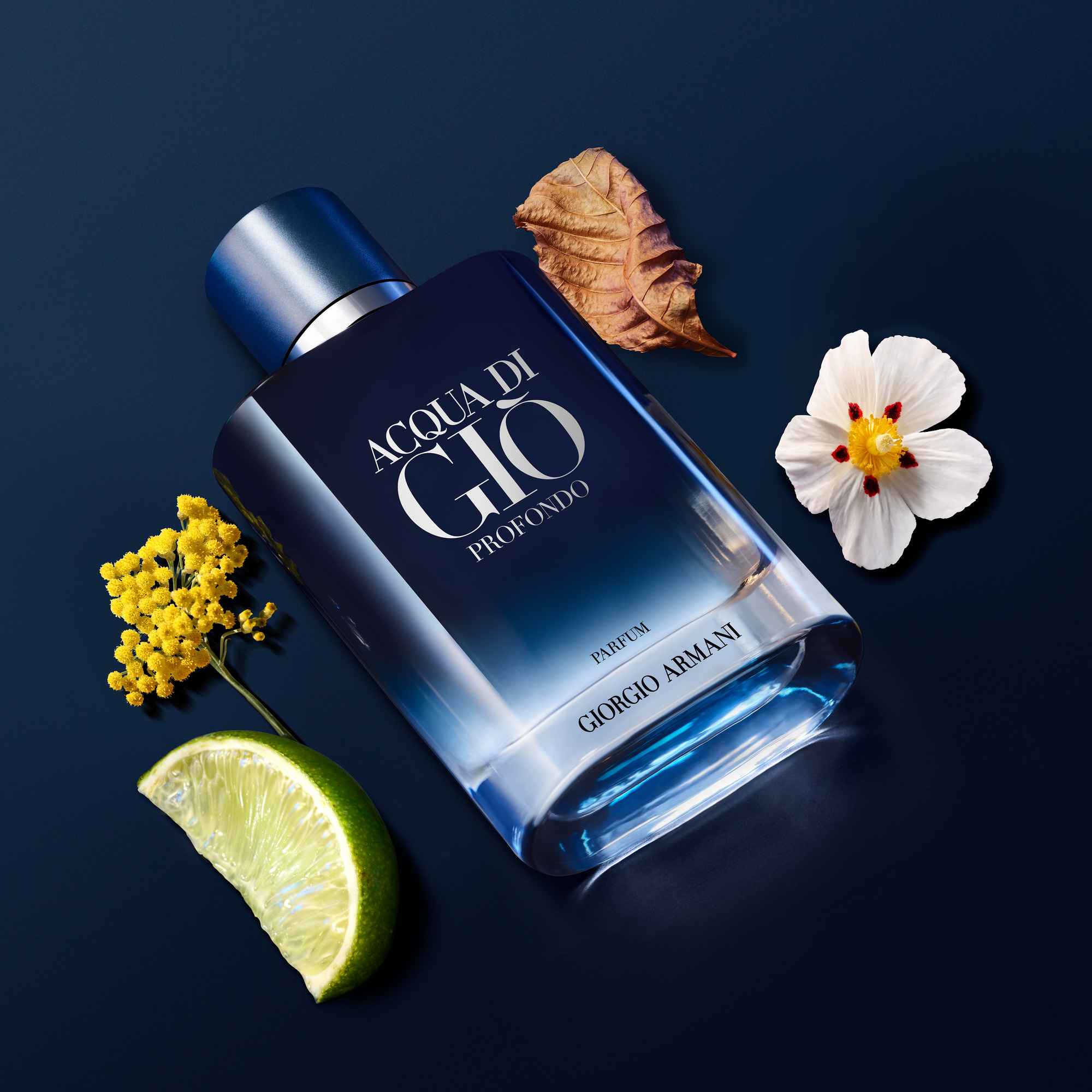 Acqua di Giò Profondo — Fresh Cologne For Men — Armani Beauty