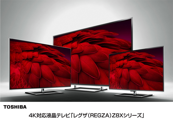 TOSHIBA 液晶テレビ 4K REGZA 50インチ 家電 d4858 TOSHIBA 液晶テレビ