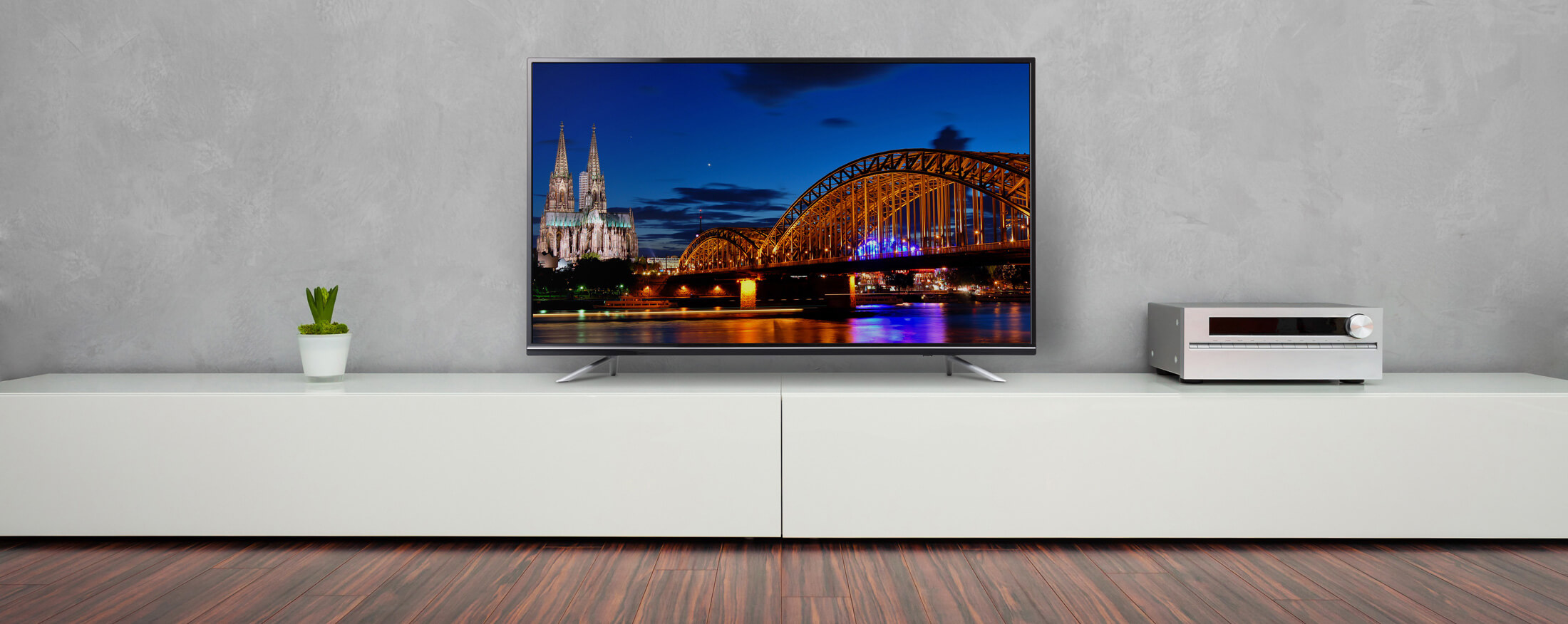 spot | GH-TV49D-BK | GREEN HOUSE グリーンハウス