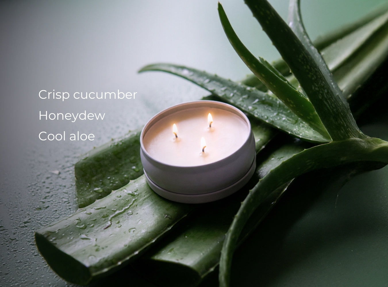 Cucumber Aloe 3-Wick Candle – Grow Fragrance