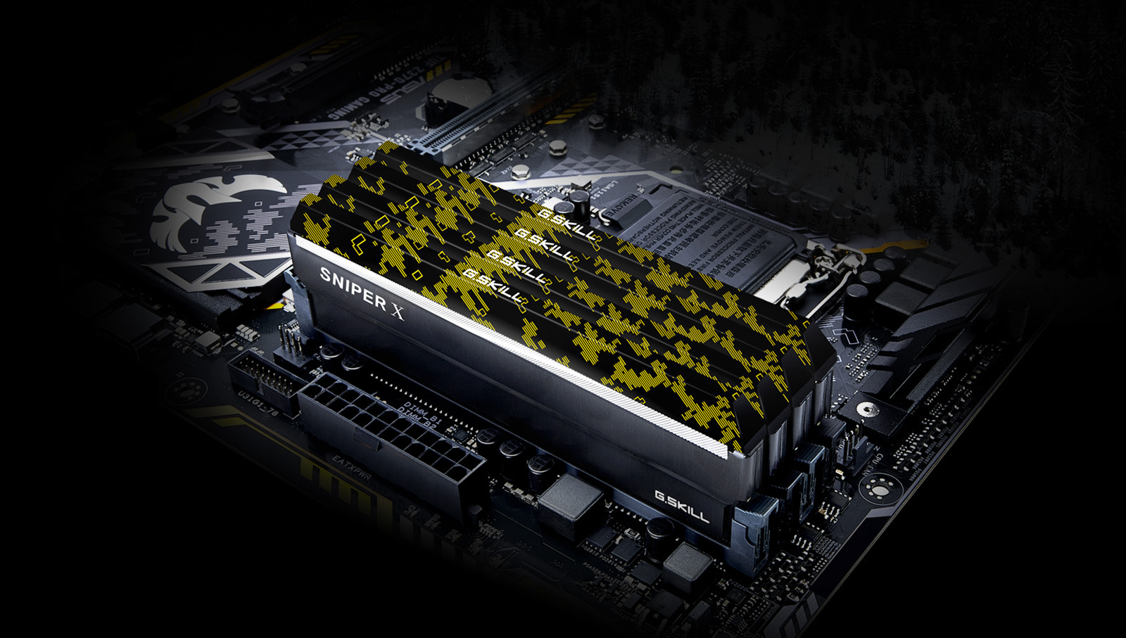 F4-3600C19D-32GSXWB - Overview - G.SKILL International Enterprise