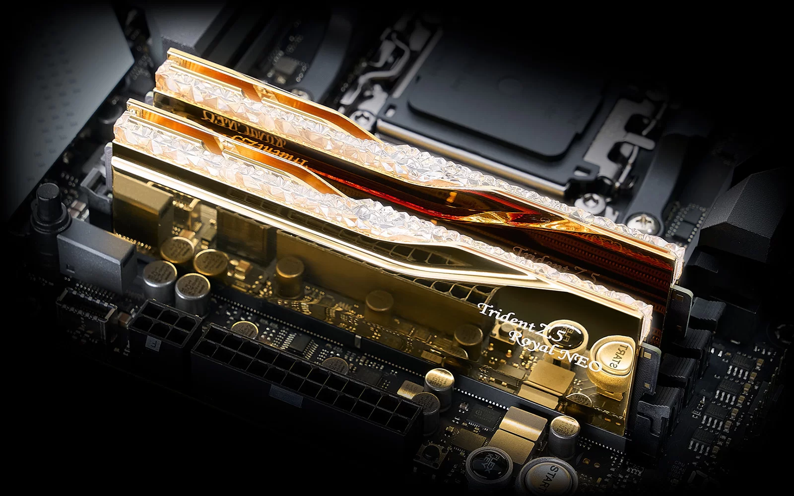 F5-6000J2836F48GX2-TR5NG - Overview - G.SKILL International