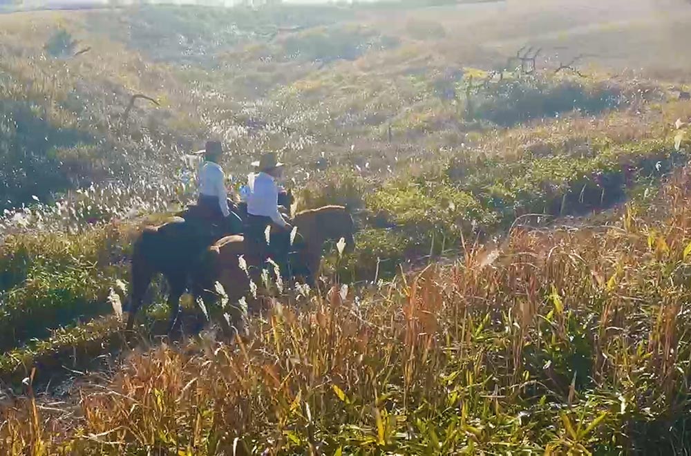 ロングロングトレッキング (約180分) | おすすめ体験 | 夢☆大地