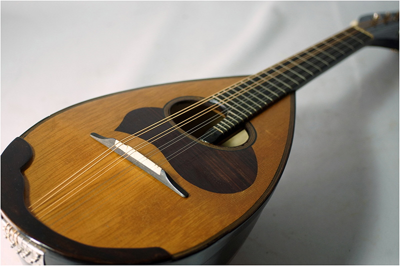 S. Watanabe 【マンドリン / 1963年製 / 渡辺精次】 | D-plus-stock