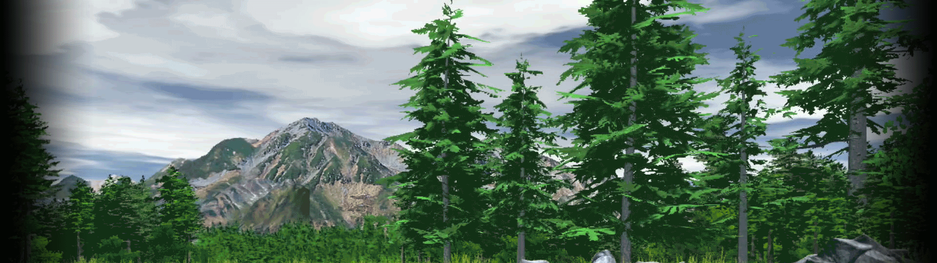 THE バスフィッシング