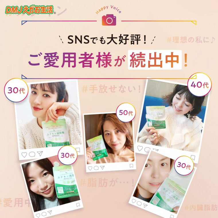 カテキン減脂粒 DMJえがお生活 日本製 31日分 カテキン サプリ お腹の