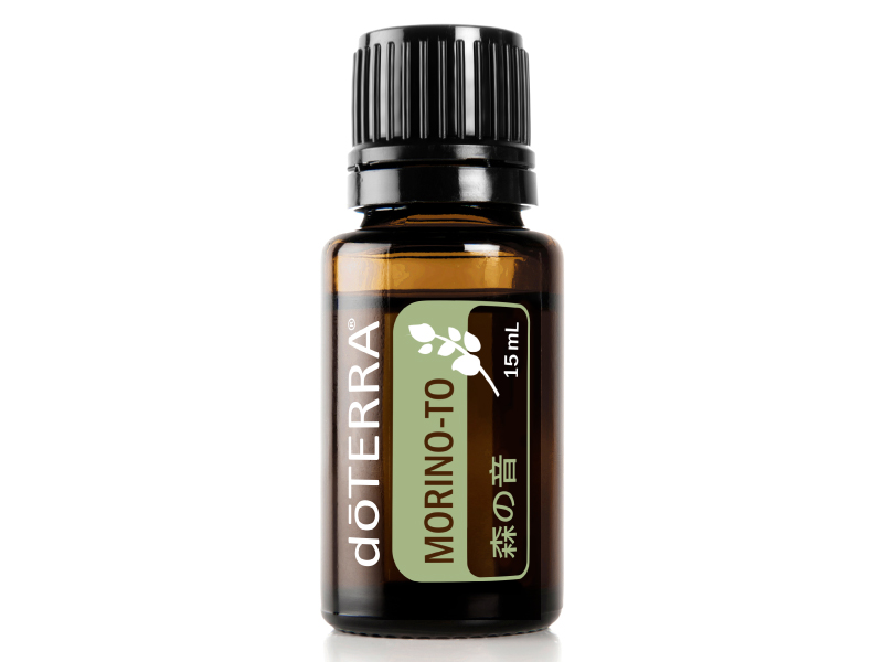 森の音 - doTERRA TIMES