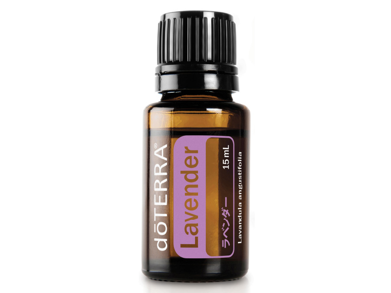 WA 森の音 デラックス登録キット - doTERRA TIMES