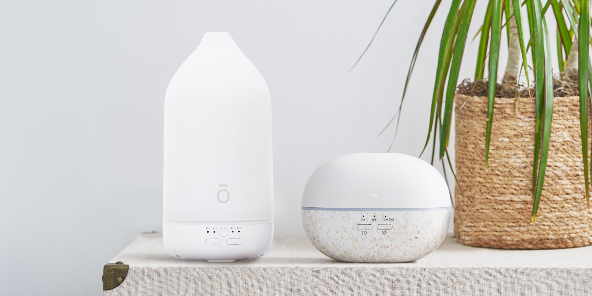 ドテラ 森の音 ディフューザー ドテラ 森の音 ディフューザー 【公式通販】