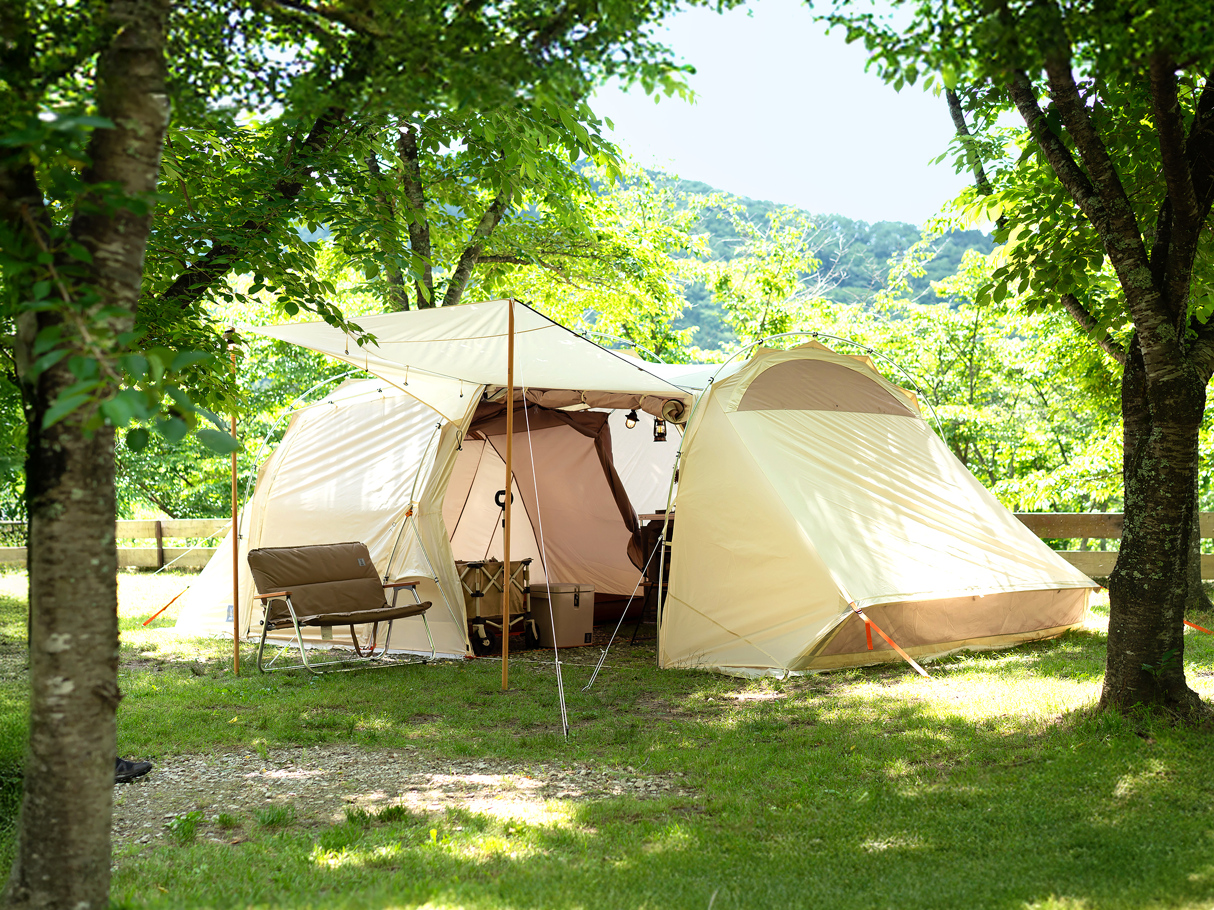 PLAN/TENT/PRICE - DOD CAMP PARK KYOTO
