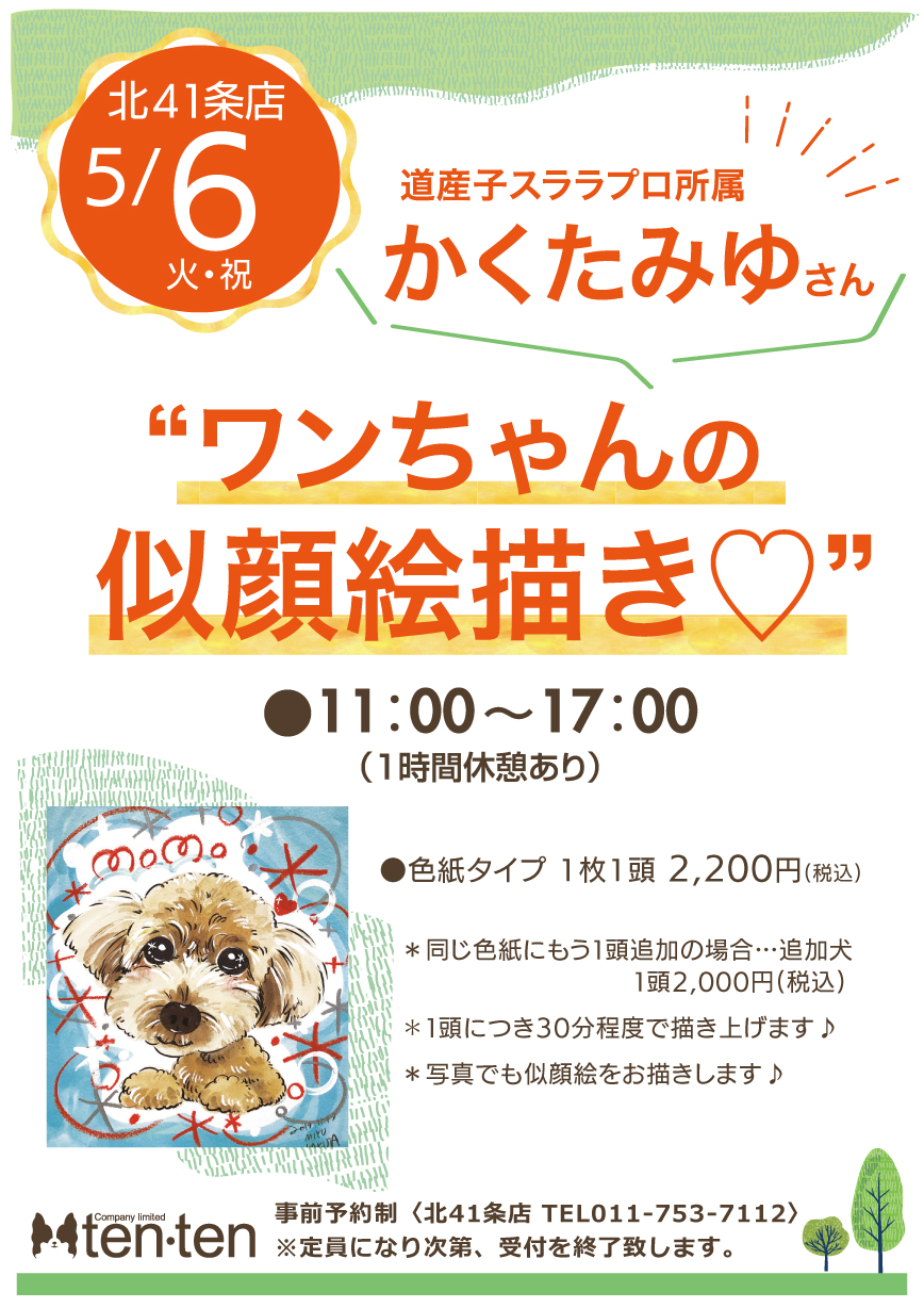 札幌 ペットショップ | ペットハウステンテン |トリミング | 猫