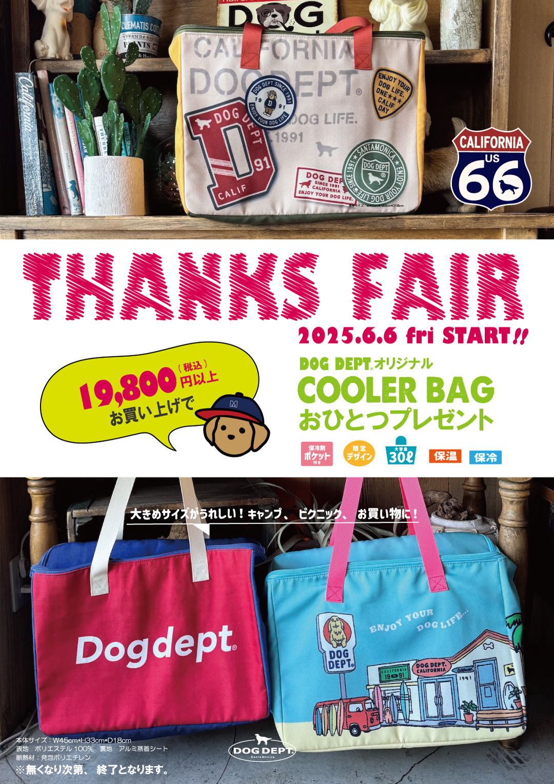 2025 THANKS FAIR | ドッグデプト ＜DOG DEPT＞ NEWS