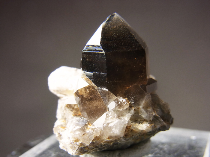 岐阜県ちんの峠産 煙水晶 (Smoky Quartz / Japan) - 鉱物標本販売店