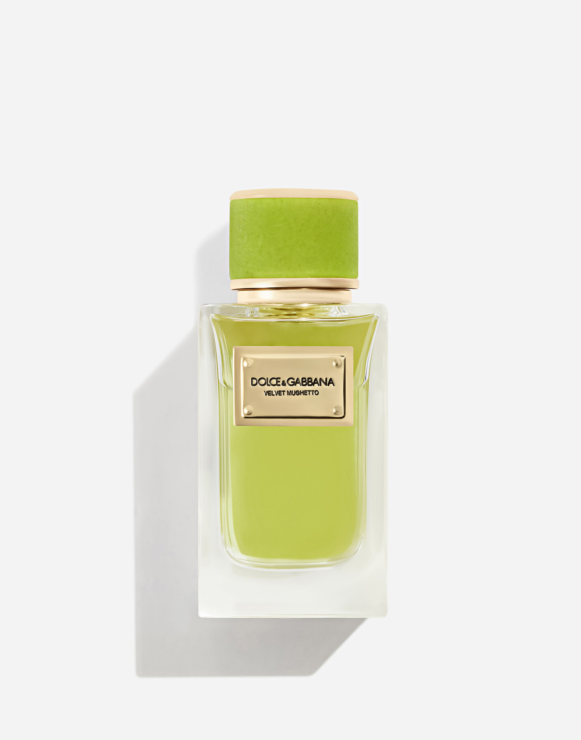 Velvet Collection | Dolce&Gabbana