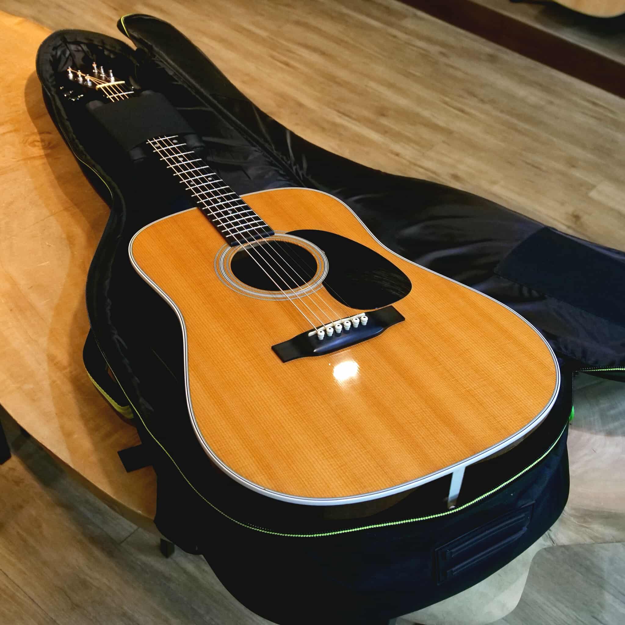 Switch純正ソフトケース(旧デザイン)・Free Size【送料無料】