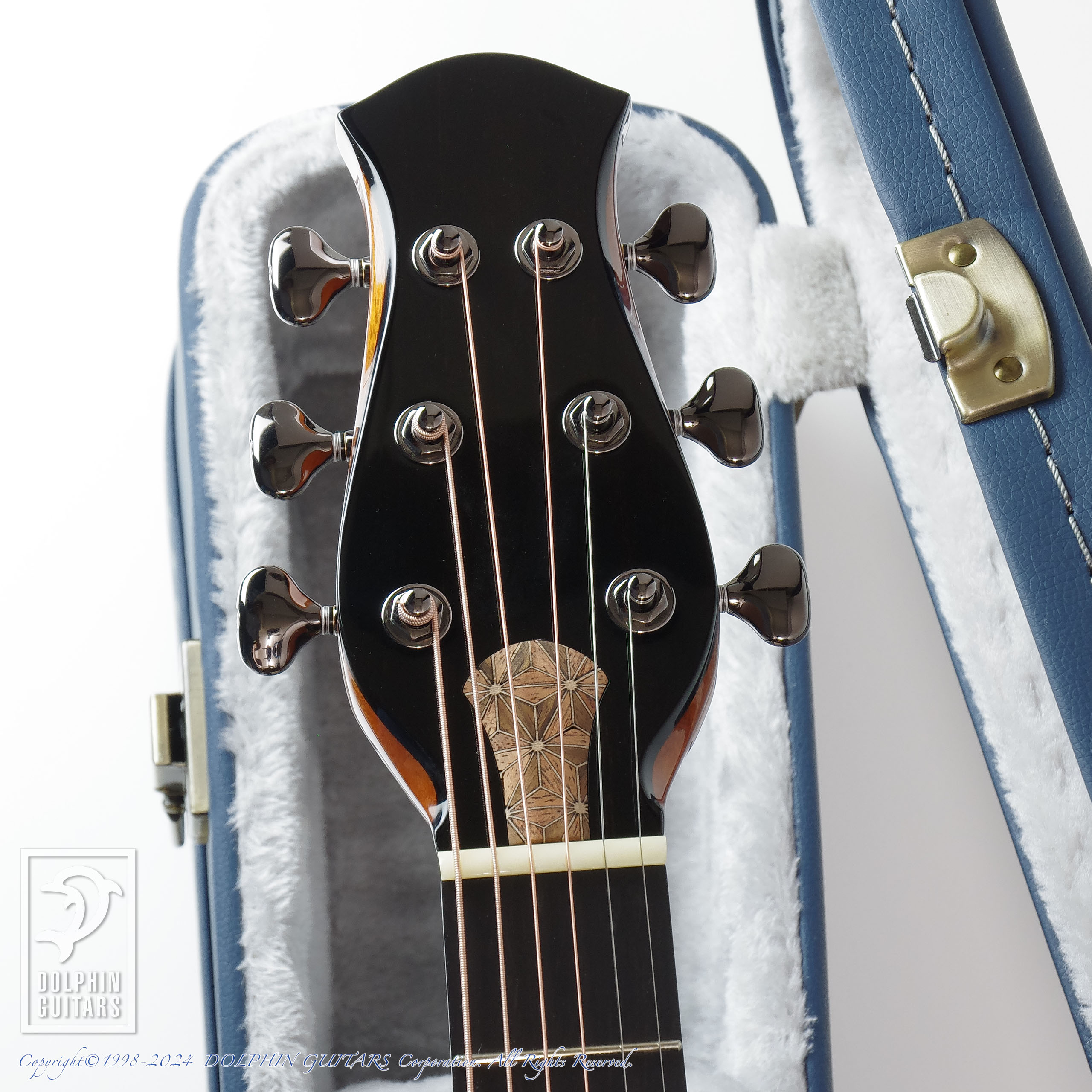 aNueNue LS770 Designed by Sugita Kenji|ドルフィンギターズ