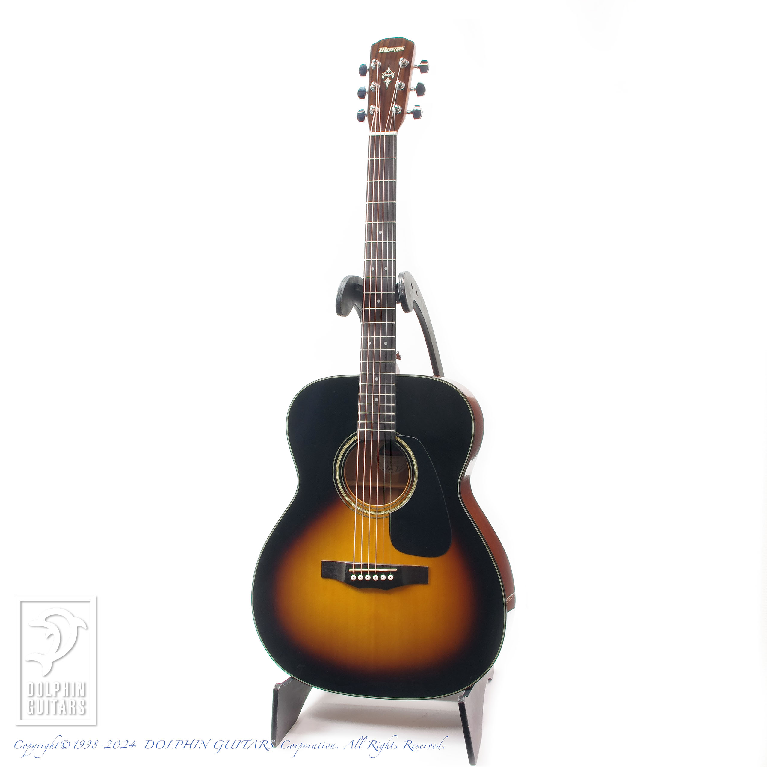 MORRIS F-35 TS|ドルフィンギターズ