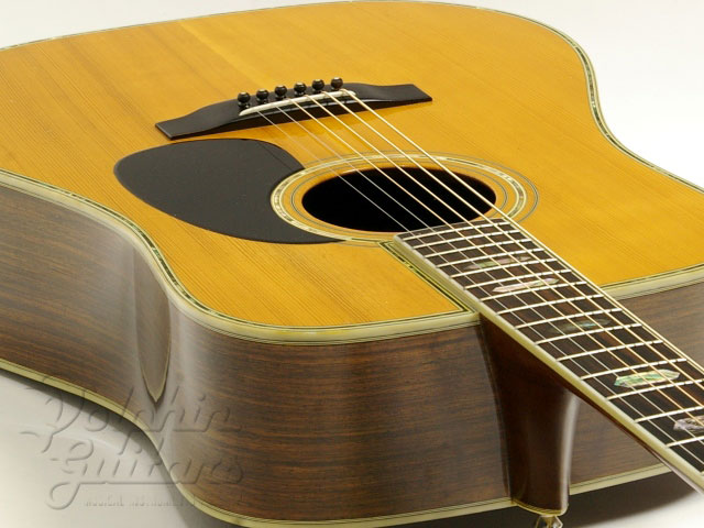 MORRIS W-80|ドルフィンギターズ