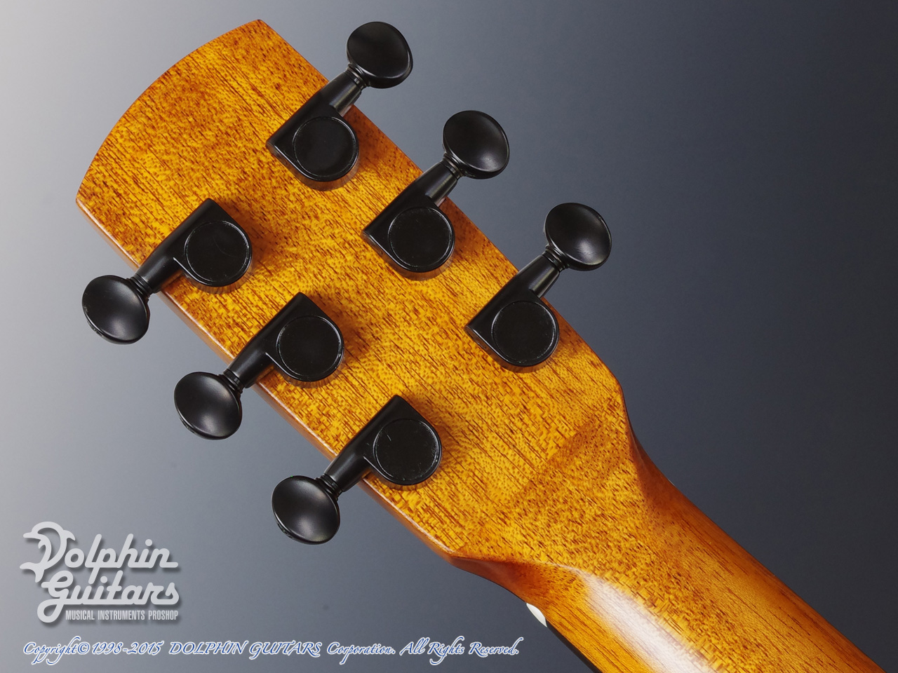 aNueNue Bird aNN-M200|ドルフィンギターズ