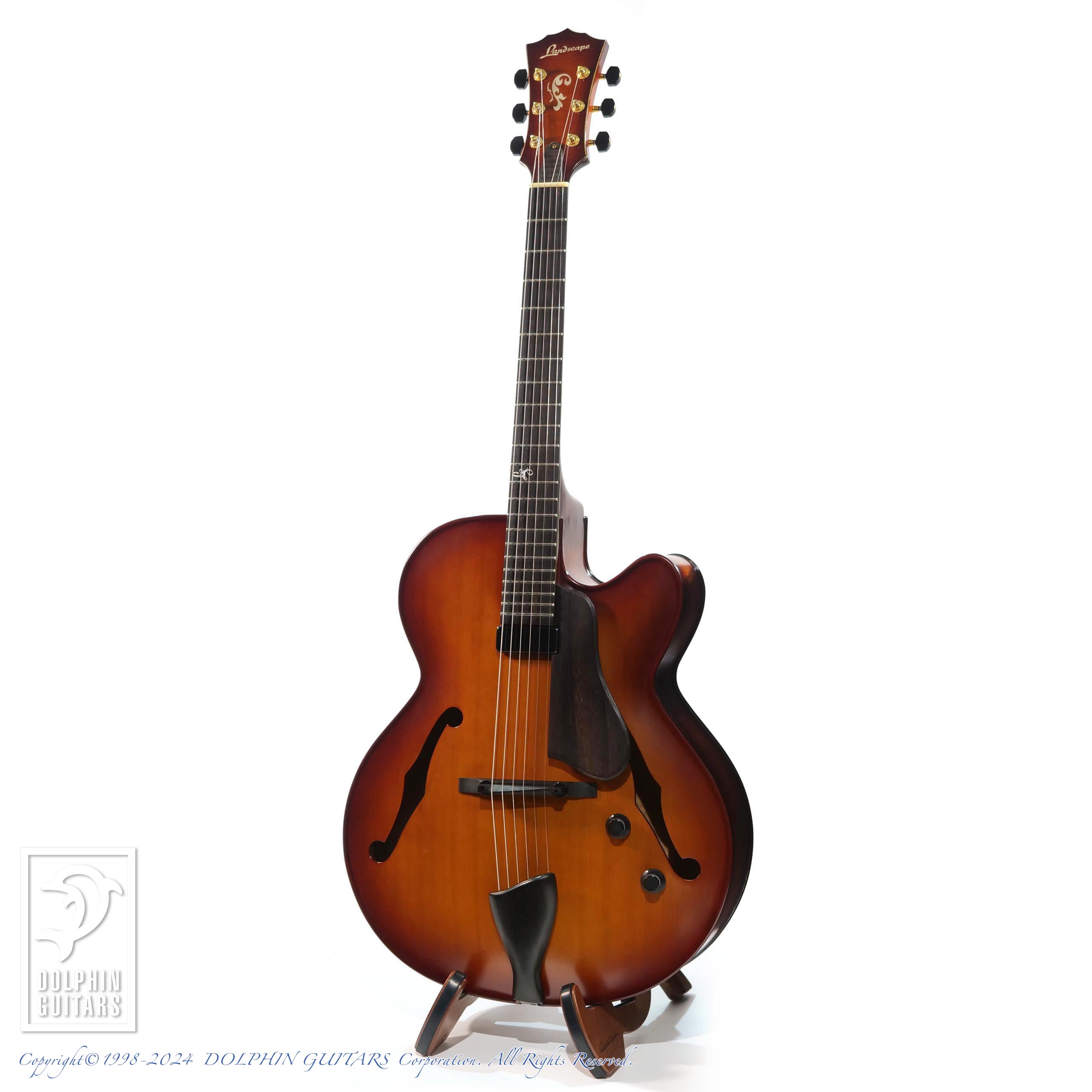 LANDSCAPE AR-101|ドルフィンギターズ