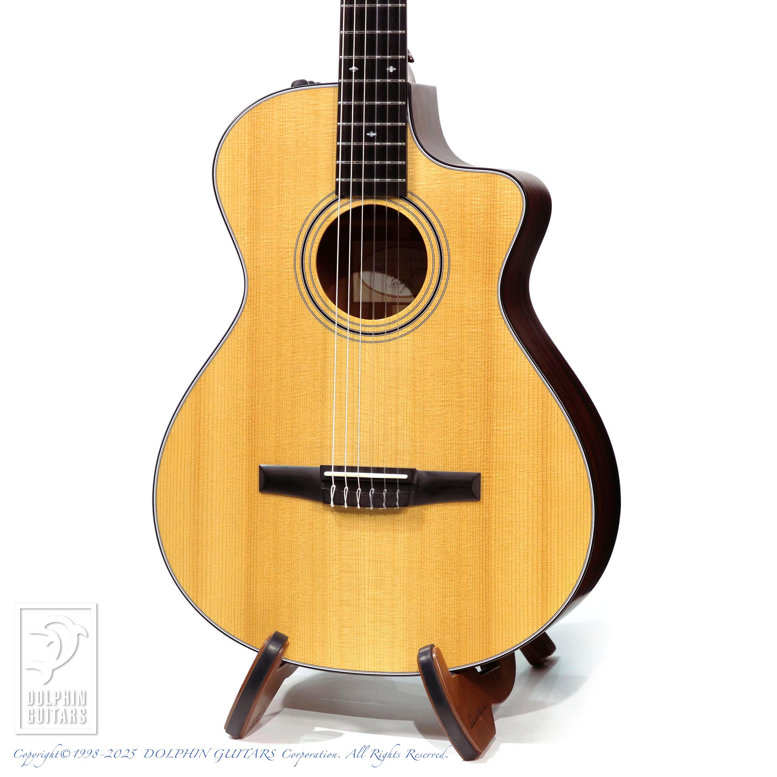 TAYLOR 312ce-Nylon |ドルフィンギターズ
