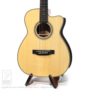 ドルフィンギターズ アコースティックギター・ウクレレ販売