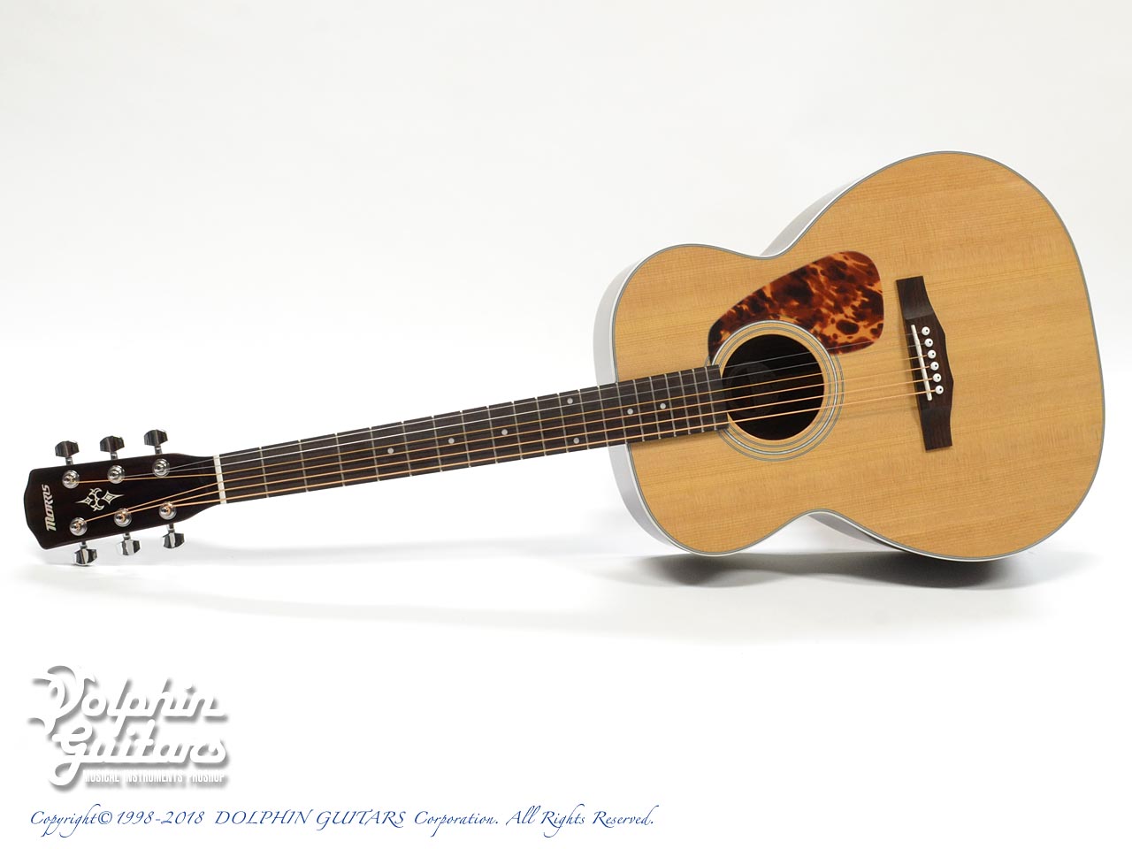 MORRIS F-401|ドルフィンギターズ