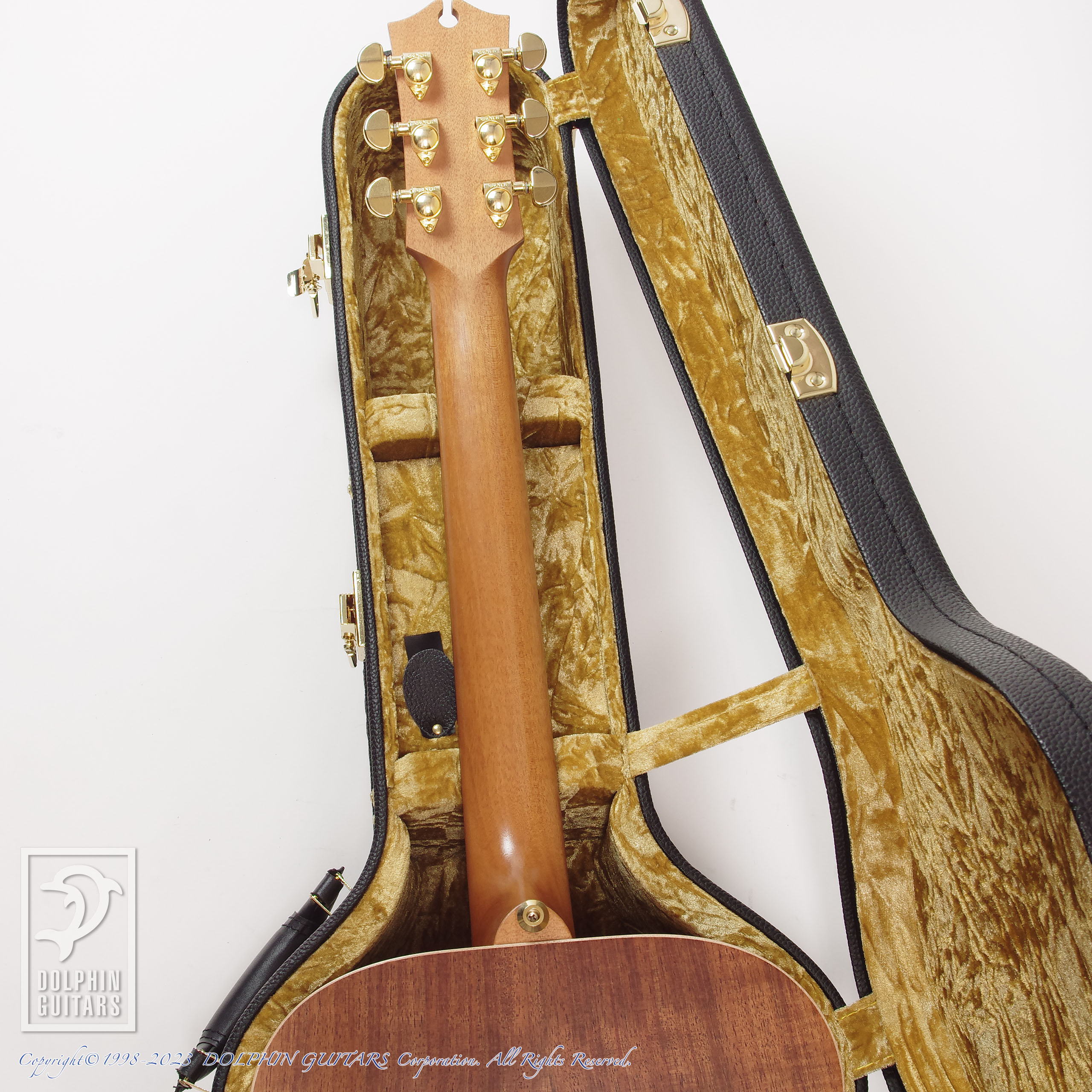 MATON EBG808 Artist|ドルフィンギターズ