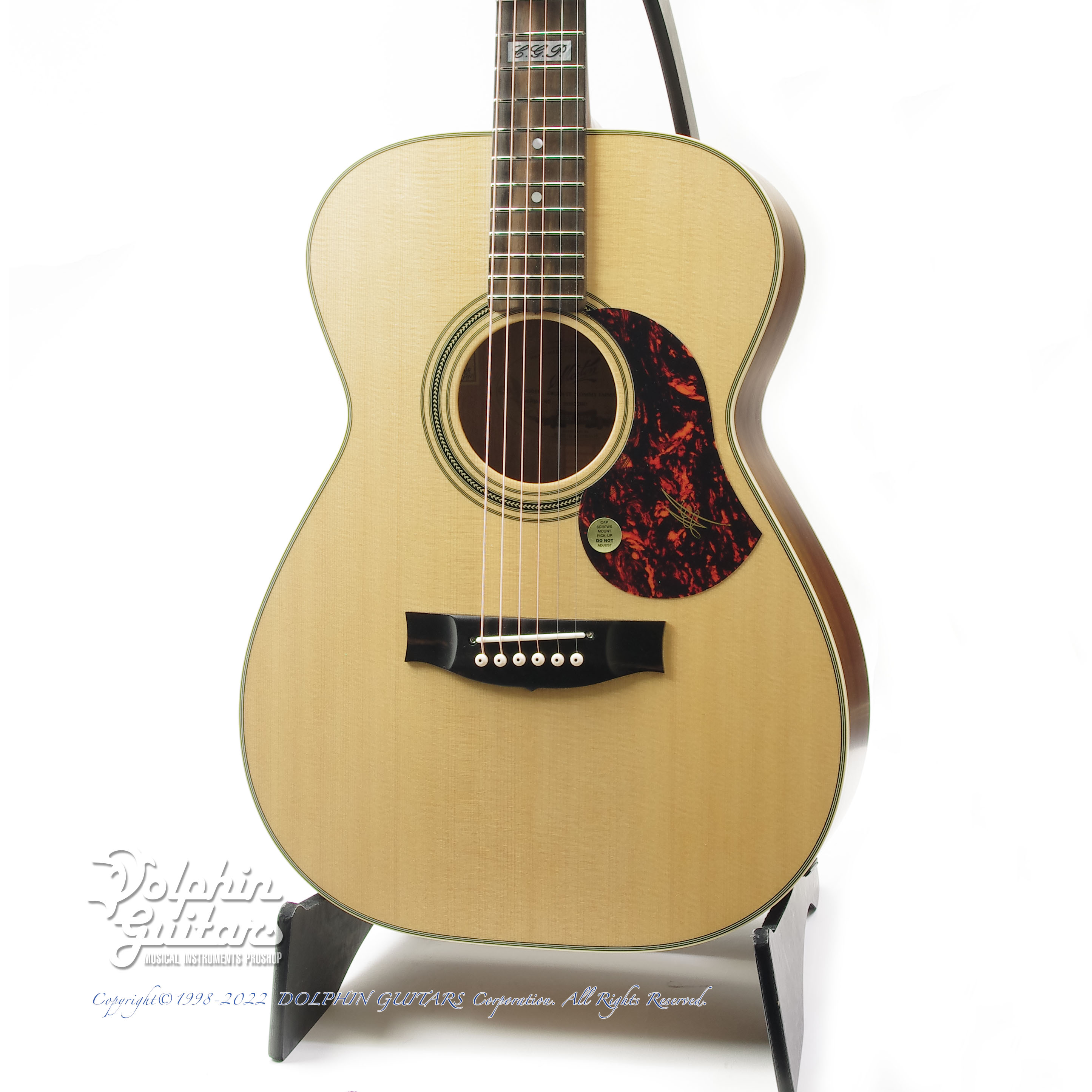 MATON EBG808TE (Tommy Emmanuel Signature)|ドルフィンギターズ