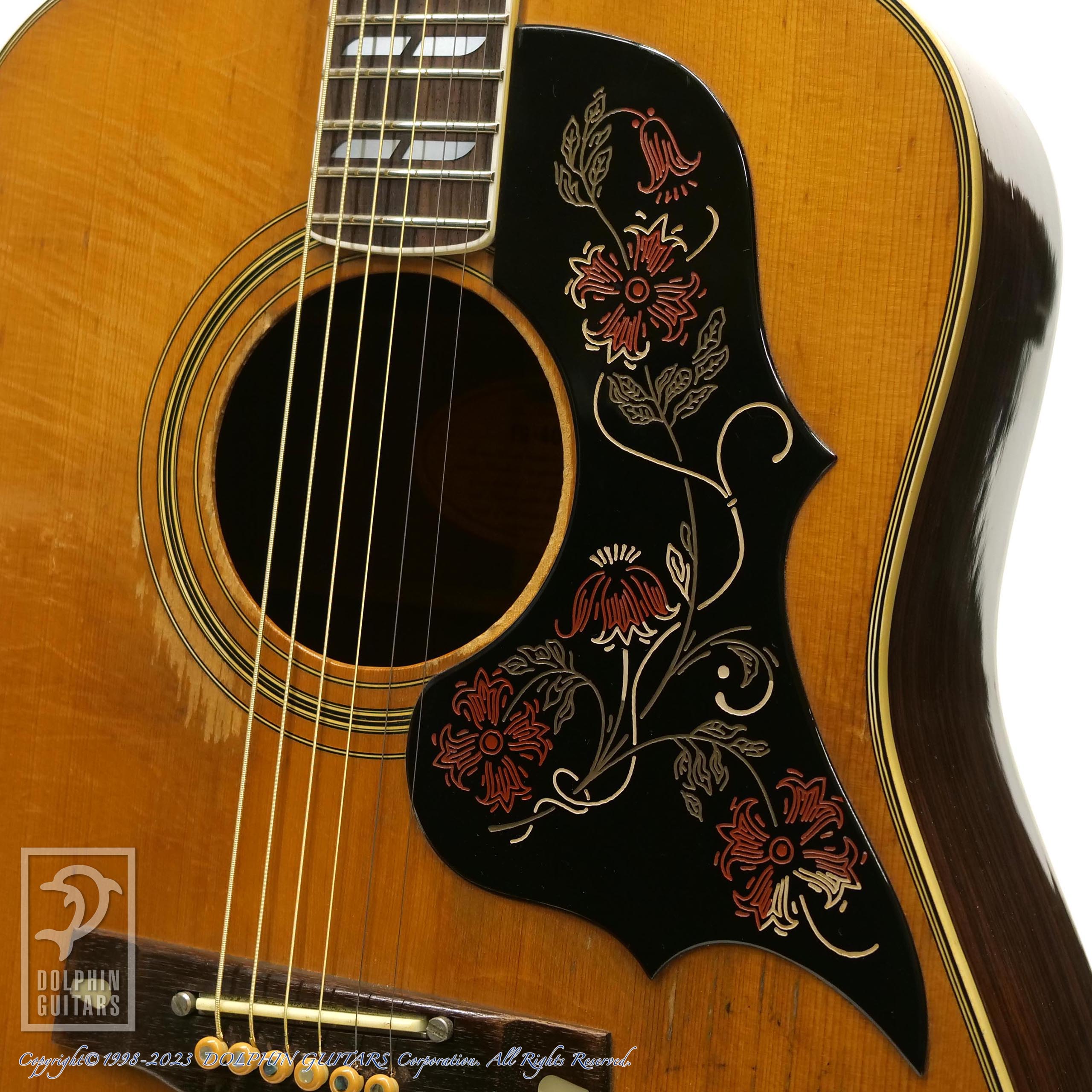 YAMAHA FG-401W|ドルフィンギターズ