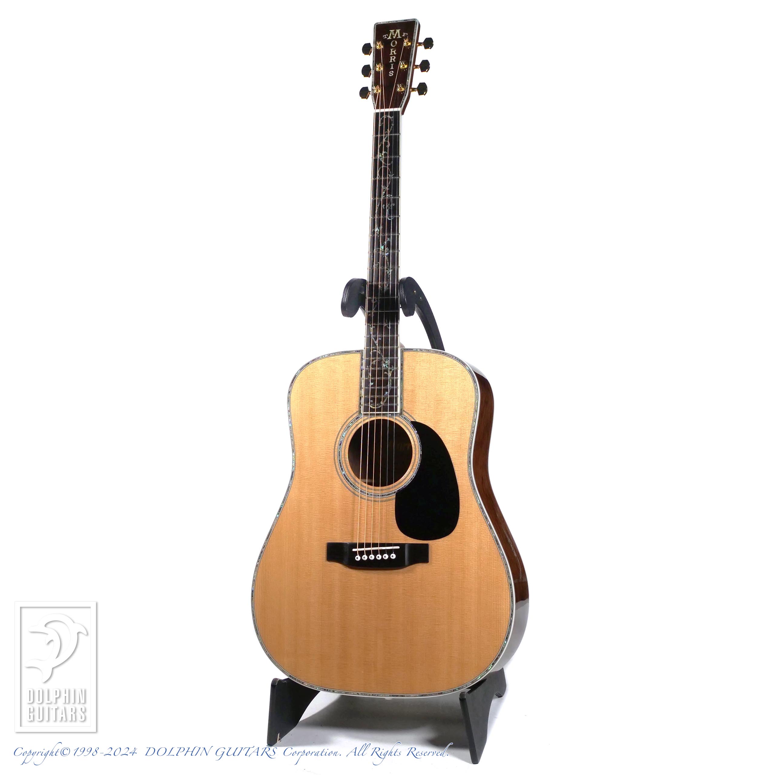 MORRIS W-50th Limited Edition|ドルフィンギターズ