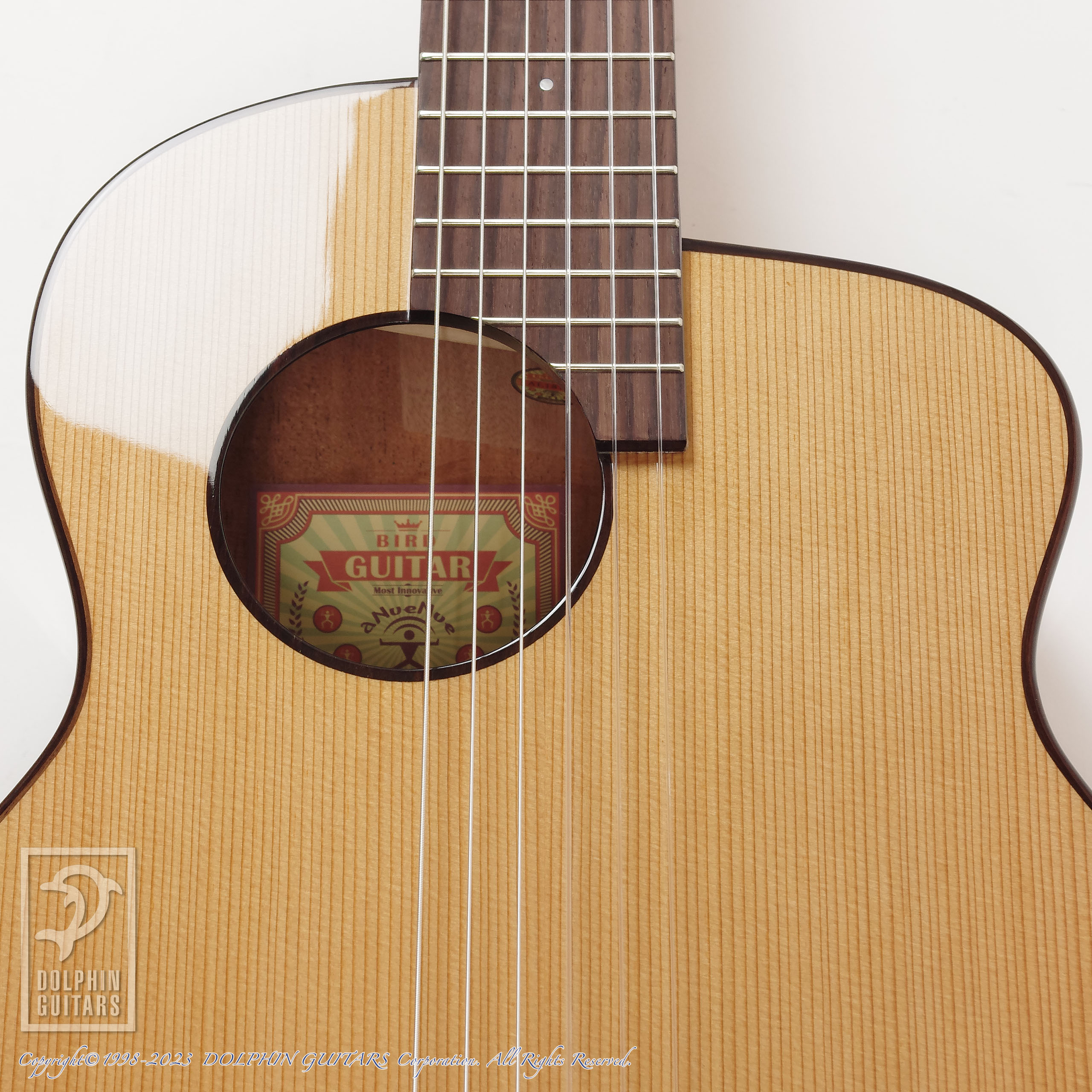 aNueNue aNN-MN14 (Nylon Strings)|ドルフィンギターズ