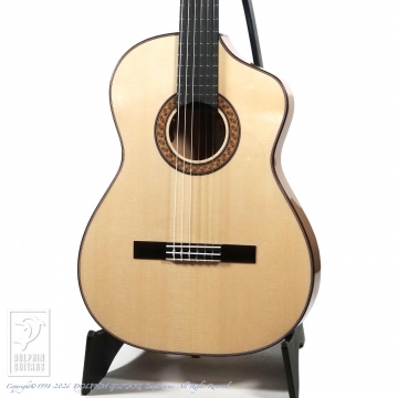 ドルフィンギターズ アコースティックギター・ウクレレ販売