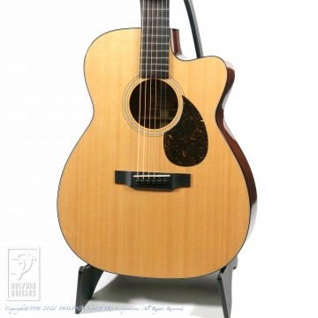 HEADWAY HN-401|ドルフィンギターズ