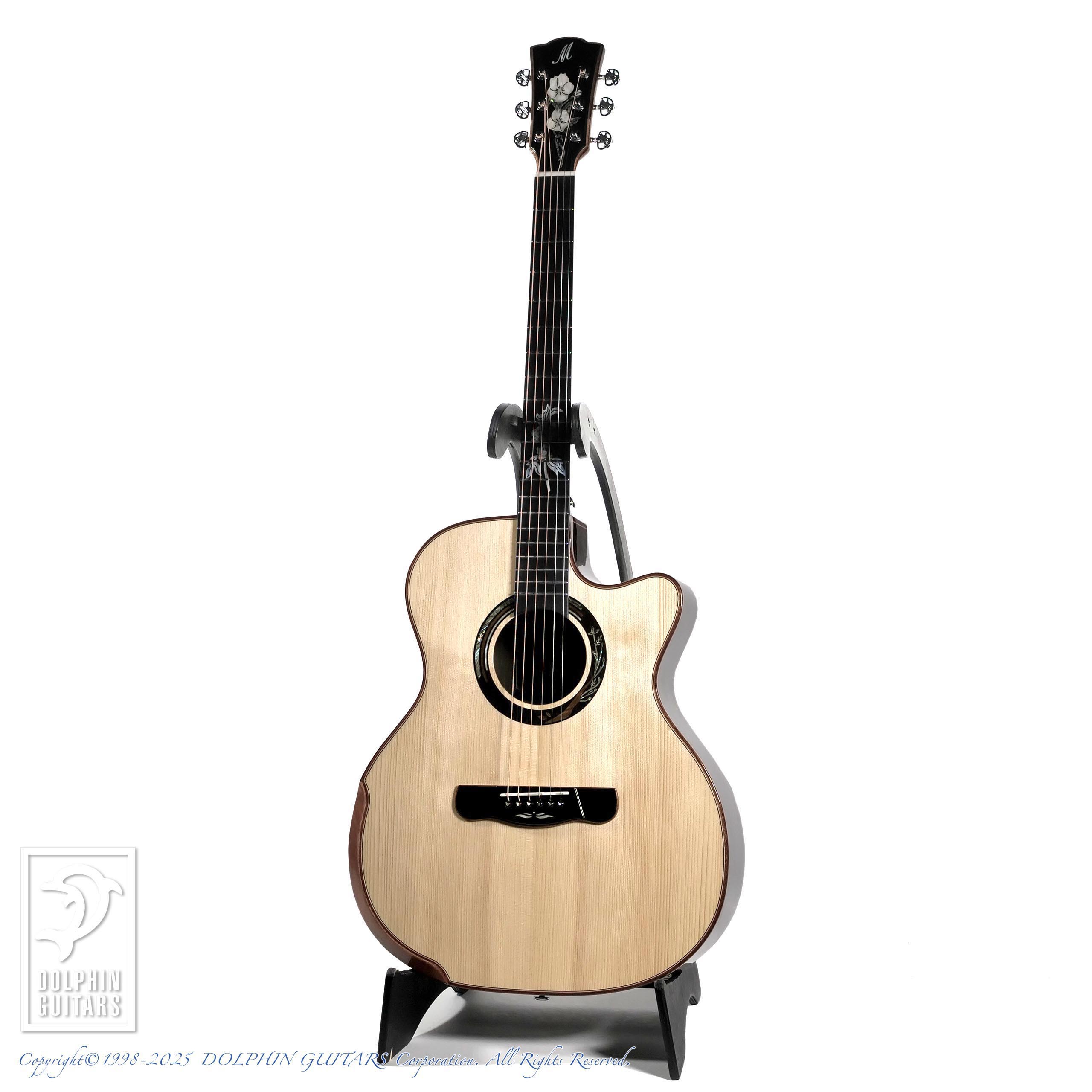 Merida A18GAC2|ドルフィンギターズ